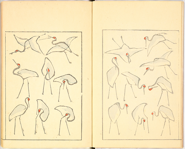 Illustrated Book