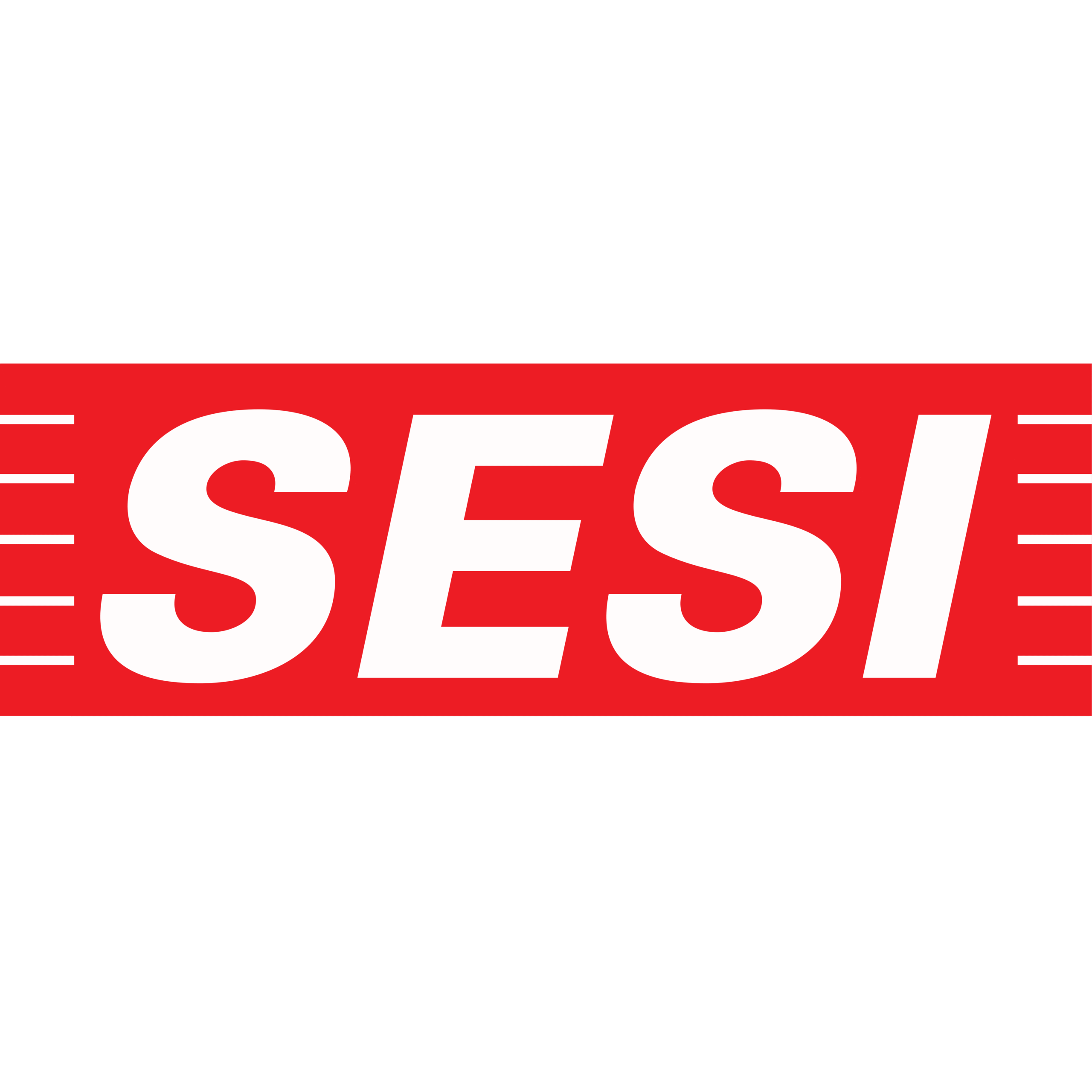 Ícone